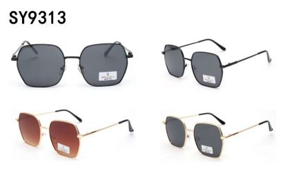 SY9313 (12)