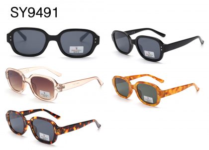 SY9491 (12)