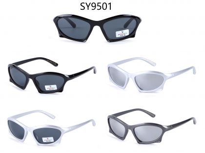 SY9501 (12)