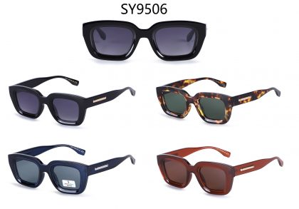 SY9506 (12)