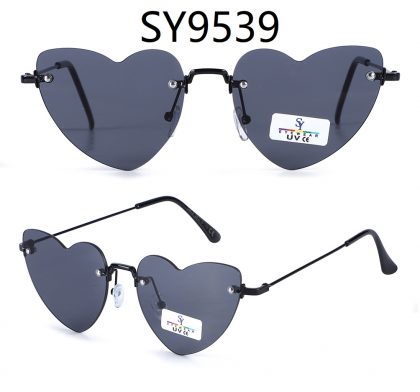 SY9539 (12)