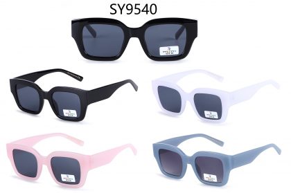 SY9540 (12)