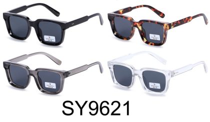 SY9621 (12)