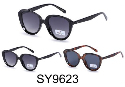 SY9623 (12)