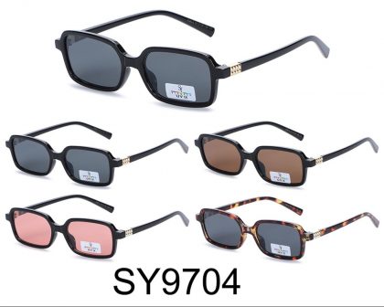 SY9704 (12)