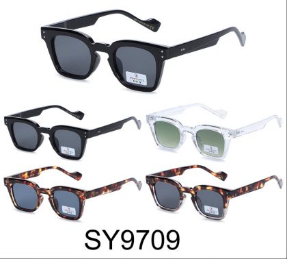 SY9709 (12)