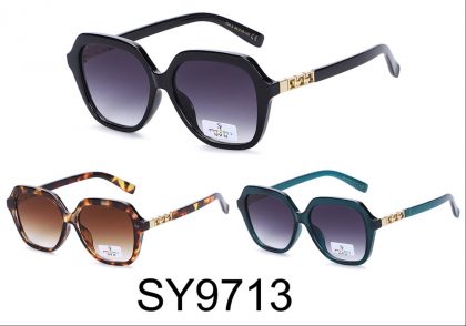SY9713 (12)