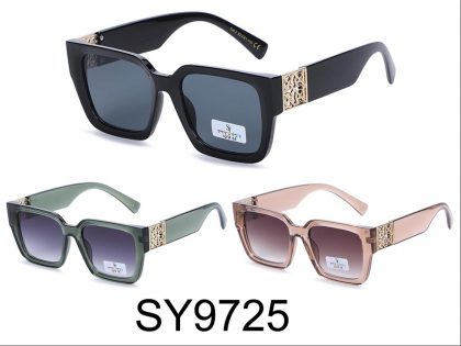 SY9725 (12)