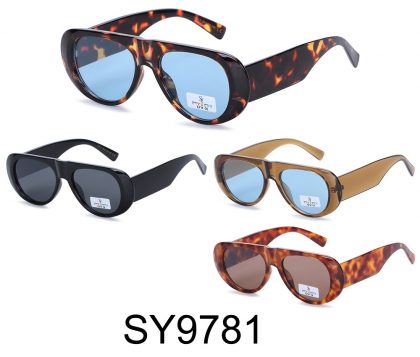 SY9781 (12)