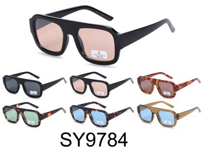SY9784 (12)