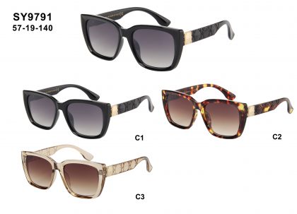 SY9791 (12)