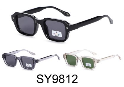 SY9812 (12)