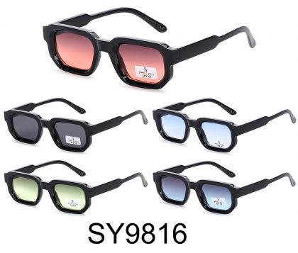 SY9816 (12)