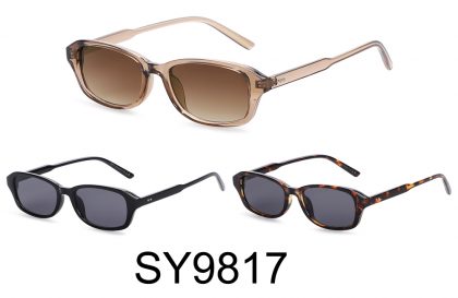 SY9817 (12)