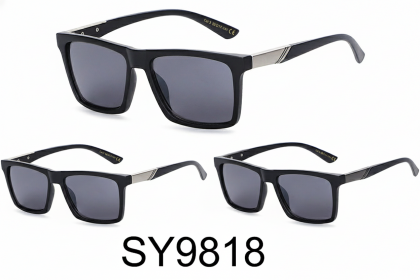 SY9818 (12)