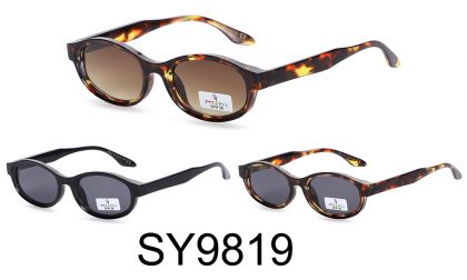 SY9819 (12)