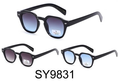 SY9831 (12)