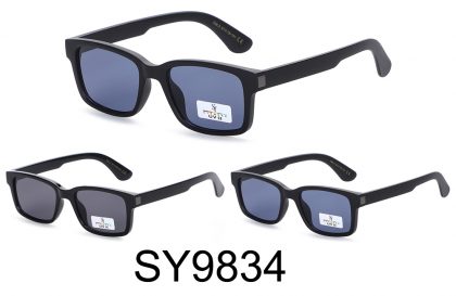 SY9834 (12)