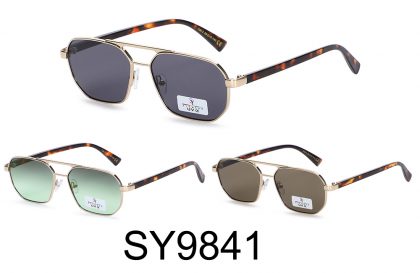 SY9841 (12)