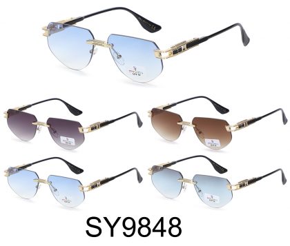 SY9848 (12)