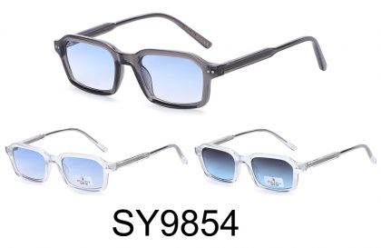 SY9854 (12)