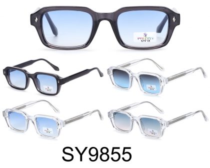 SY9855 (12)