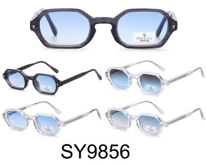 SY9856 (12)