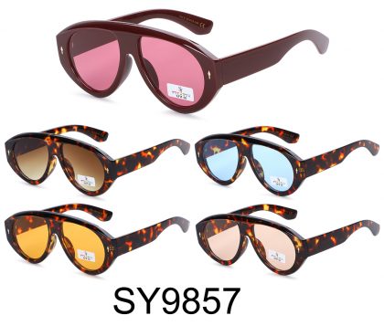 SY9857 (12)